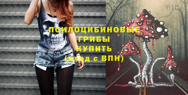 хмурый Няндома