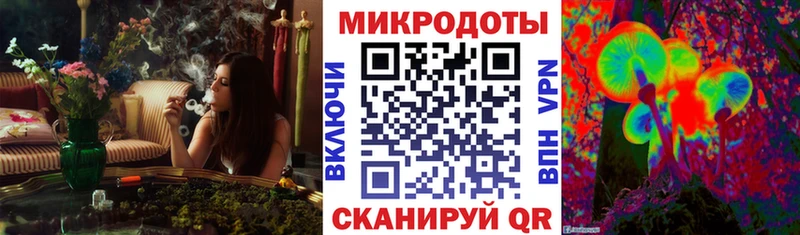 Псилоцибиновые грибы прущие грибы  Нижний Ломов 